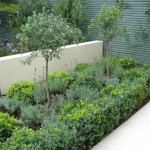 Earlsfield large contemporary garden Mediterranean style