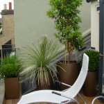 roof patio garden of this Balham