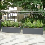 roof patio garden of this Balham