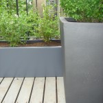 roof patio garden of this Balham