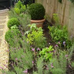 clapham common front garden