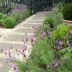 Wandsworth Common Cottage front garden pretty seasonal planting