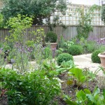 clapham common front garden