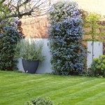 Wandsworth Common architectural contemporary garden