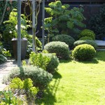 Wandsworth Common contemporary garden