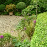 clapham common front garden