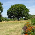 Petworth Sussex Country garden naturalistic and rural setting