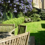 clapham family garden by henrietta gentilli garden design