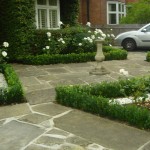 Battersea Earlsfield formal front garden billowing roses