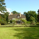 Surrey landscaped garden specimen trees