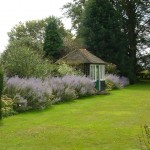 Surrey landscaped garden Jekyll inspired, exuberant borders