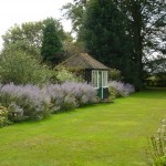 landscape design Surrey Country Garden soft curved lines and planting landscape design