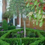 Clapham formal parterre front garden ideas,mediterranean style