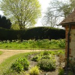 Petworth West Sussex country garden naturalistic style, deciduous and evergreen trees and shrubs for seasonal change