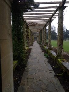 100m Peto pergola West Dean, W Sussex