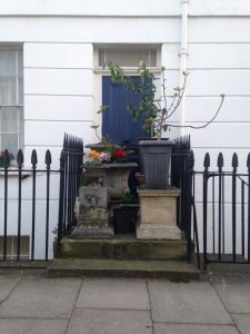 Planted front garden south london