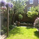 earlsfield mediterranean garden